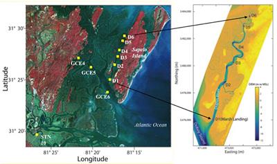 Chemical Speciation of Copper in a Salt Marsh Estuary and Bioavailability to Thaumarchaeota